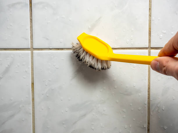 Best Mold Remediation  in Bloomington, CA