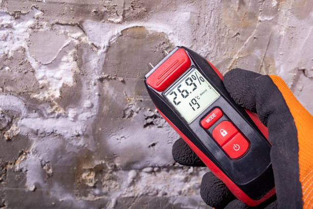 Best Toxic Mold Removal  in Bloomington, CA