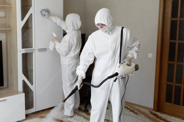 Certified Mold Removal in Bloomington, CA